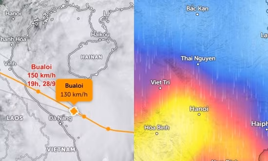 Bão Bualoi dự báo sẽ gây mưa lớn diện rộng ở những khu vực nào?