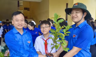 Trao hơn 320 triệu đồng an sinh tại lễ ra quân Tháng Thanh niên 2026 của tuổi trẻ Quảng Trị 