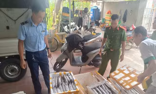 Thanh Hóa phát hiện cơ sở kinh doanh thực phẩm là côn trùng bốc mùi