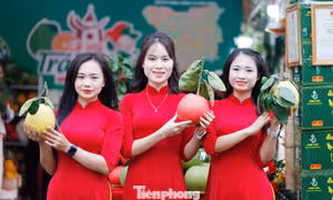 Một bạn trẻ check-in tại lễ hội.