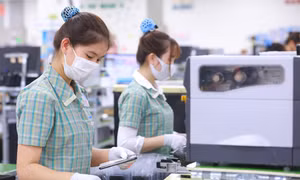 Bắc Ninh dự kiến hỗ trợ học phí đào tạo nhân lực phục vụ công nghiệp AI.