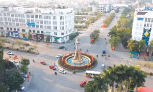 Ảnh minh họa.