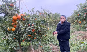 Đối tượng liên quan vụ án. Ảnh: Công an phường Chũ.