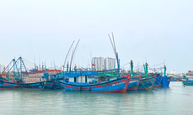 Khánh Hòa cấm tàu thuyền, khẩn cấp điều tiết hồ chứa đối phó bão Kalmaegi