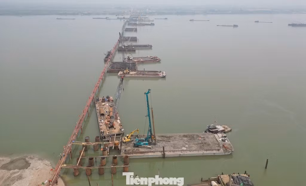 tp-1.jpg