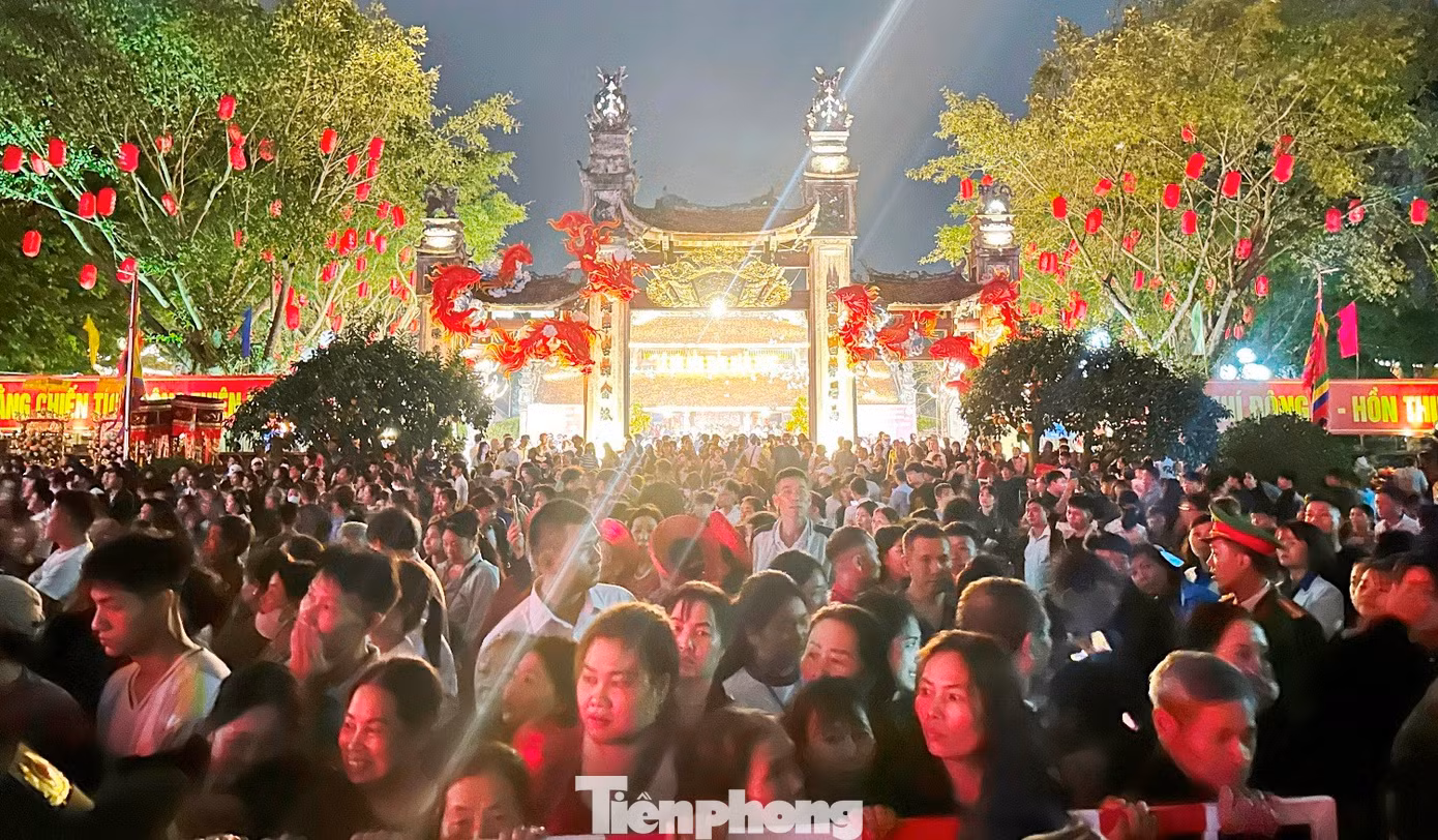 tp-2.jpg
