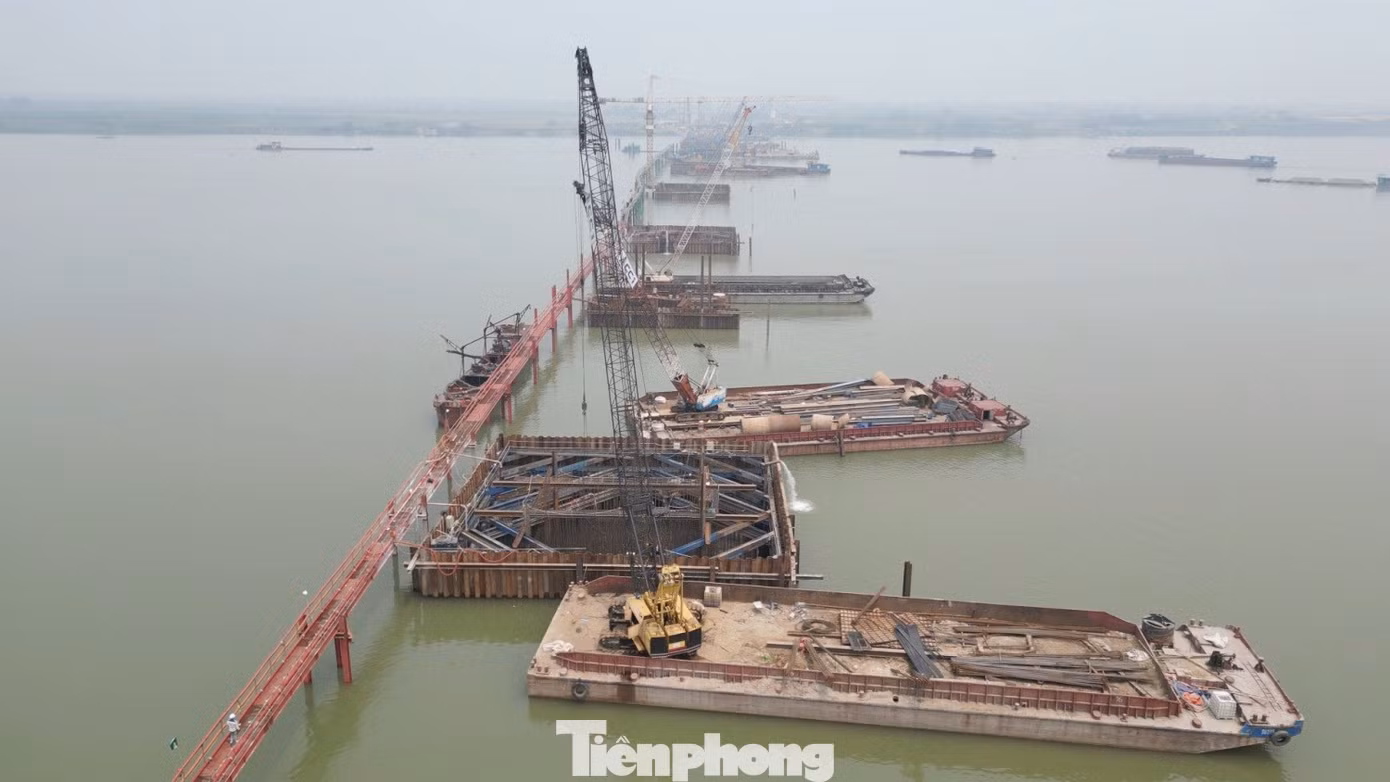 tp-3.jpg