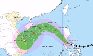 Lâm Đồng chủ động ứng phó bão số 12