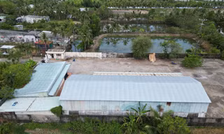 Vụ chủ đất kiện chủ nhà ở Cà Mau: Huỷ quyền sử dụng đất của người mua vì không xem trước thực địa 