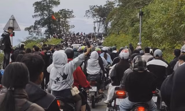 Hơn 13.000 người đổ xô tới Ba Vì ngắm hoa dã quỳ trong buổi sáng, ùn tắc kéo dài