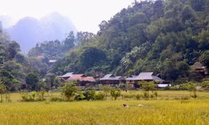 Kho Mường-ngôi làng tuyệt đẹp trong lòng thung lũng xứ Thanh
