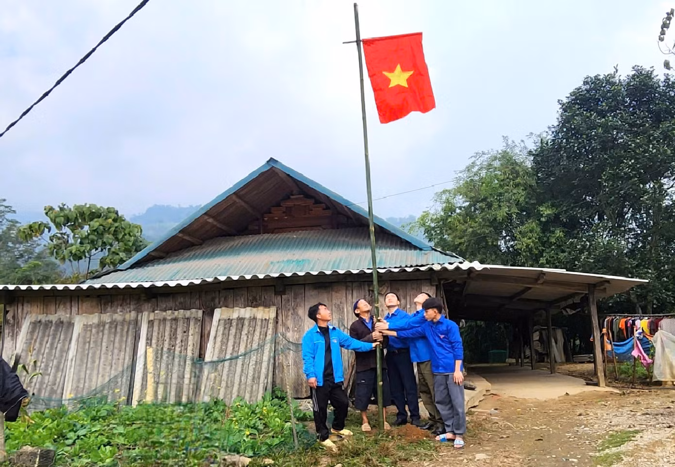 lambinh.jpg
