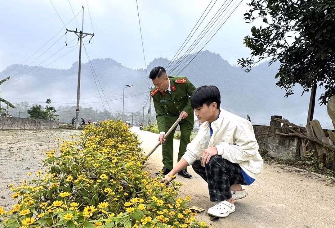vietlam1.jpg