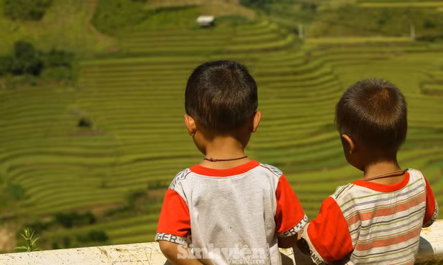 T.Ư Hội LHTN Việt Nam: Trung tâm Tình nguyện Quốc gia không thực hiện dự án ‘Nuôi em’