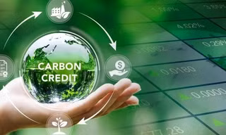 Chuẩn bị điều kiện cho vận hành, phát triển thị trường carbon
