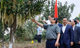 Thủ tướng Phạm Minh Chính thăm và làm việc tại Điện Biên