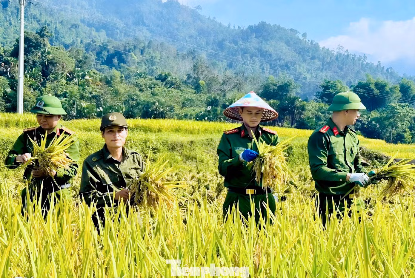 tp-tphong6.jpg