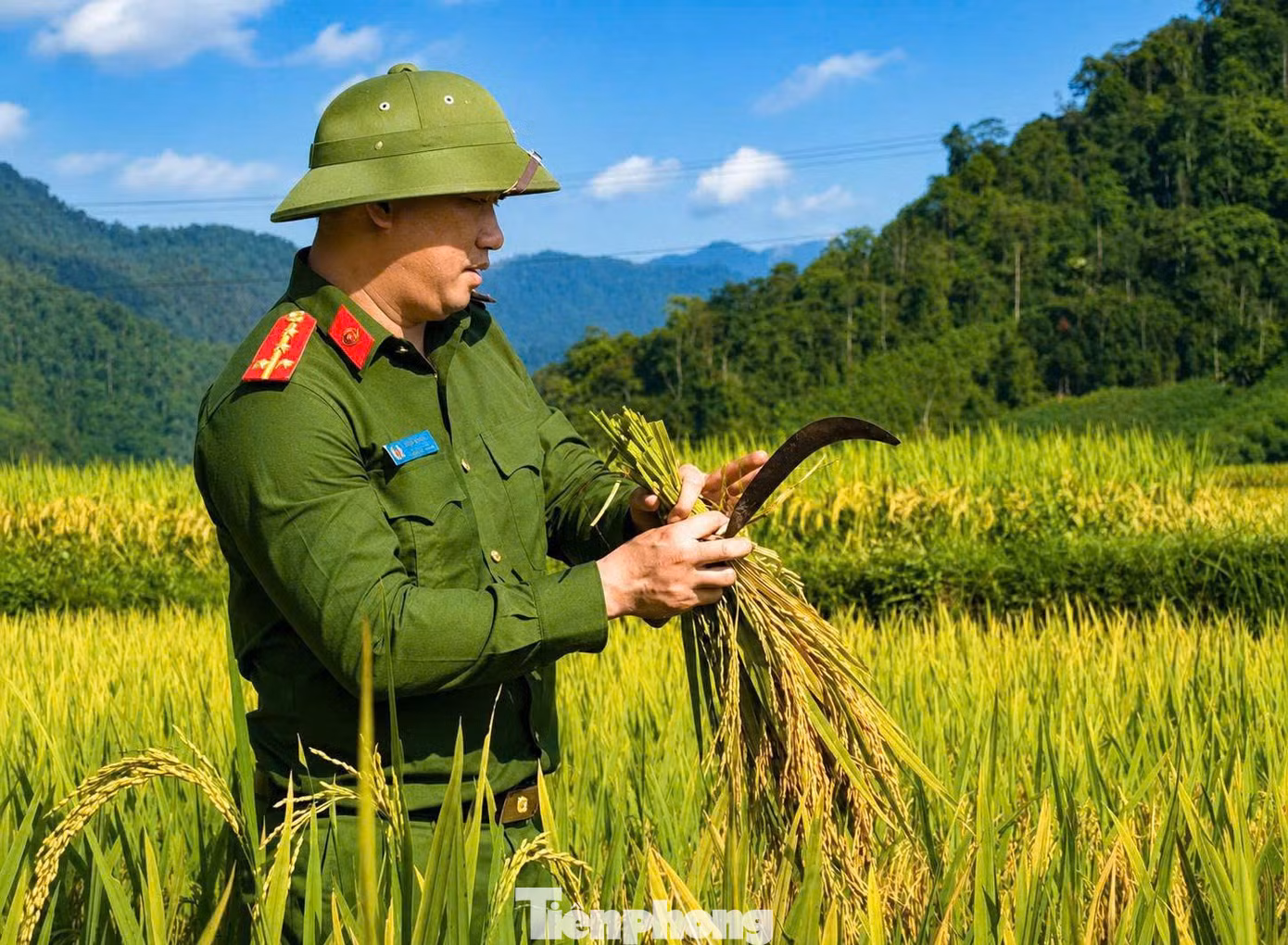 tp-tphong3.jpg