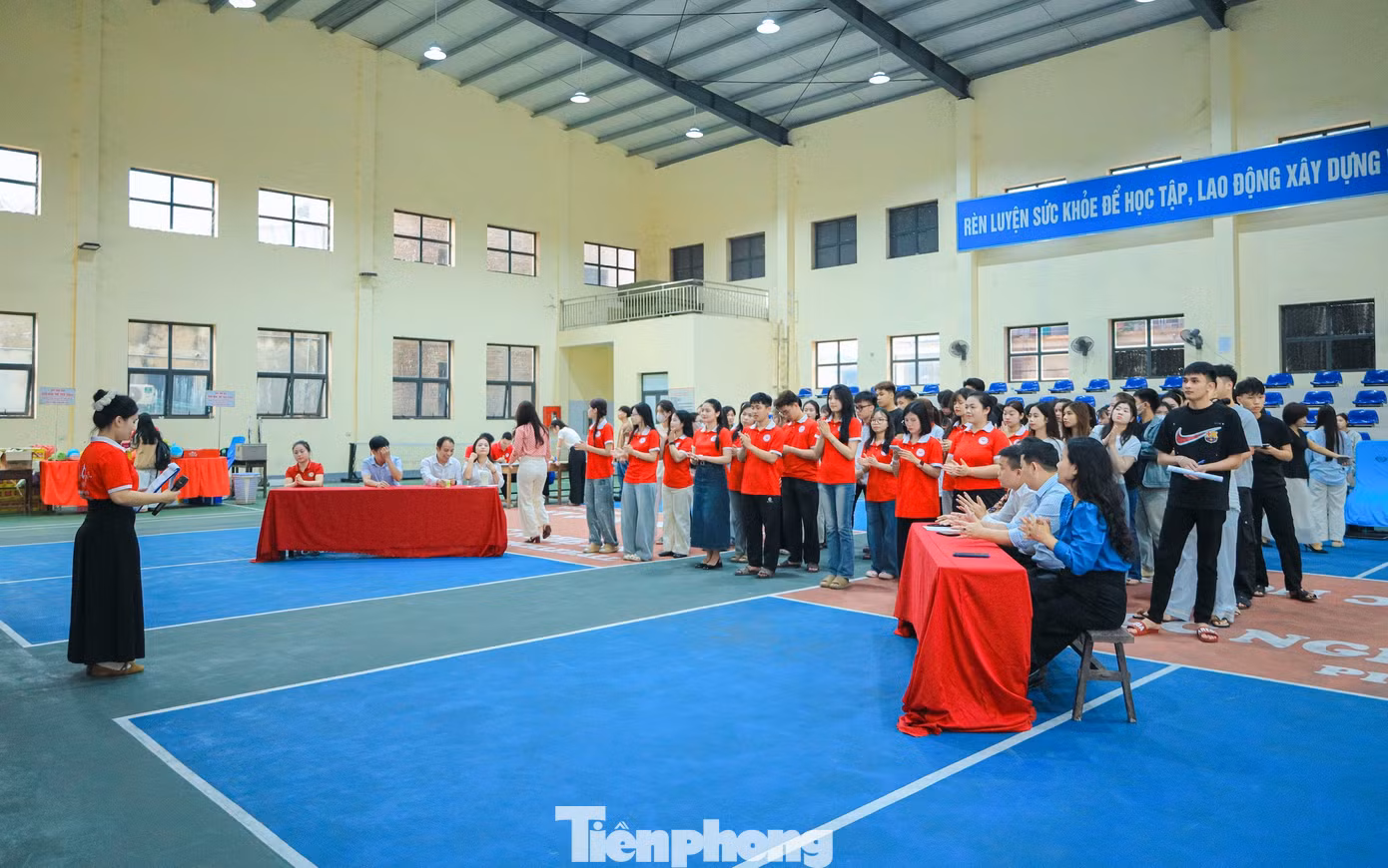 tp-dhq61335.jpg