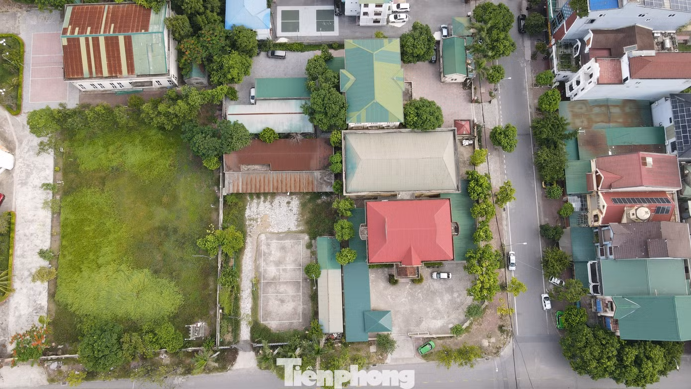 tp-26.jpg