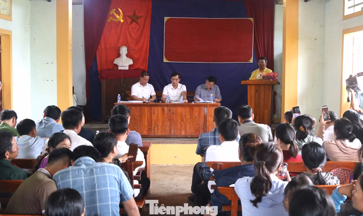tp-2aoboqxs7t3iqs224ipse5jmsnzuorkefvx1ejli4.jpg