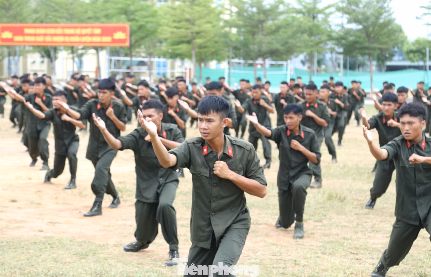 tp-21.jpg