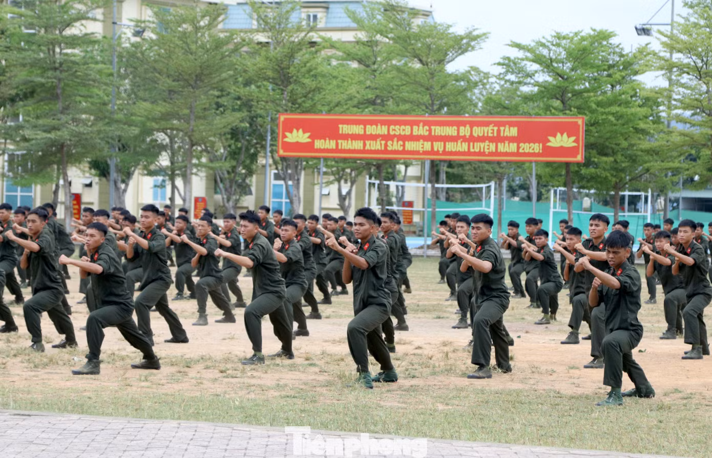 tp-m2.jpg