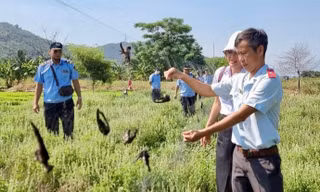 Khánh Hòa 'siết' nạn mua bán động vật hoang dã trên không gian mạng
