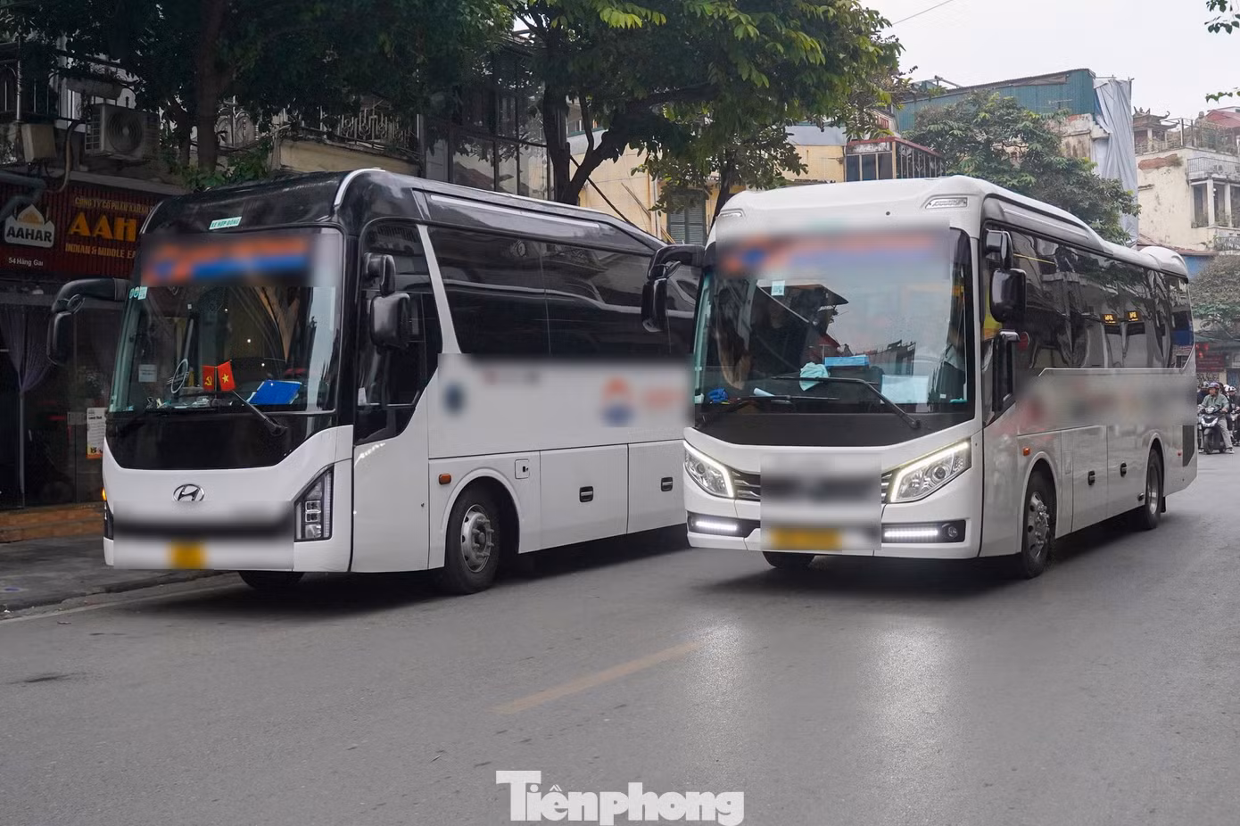 tp-tienphong-19.jpg