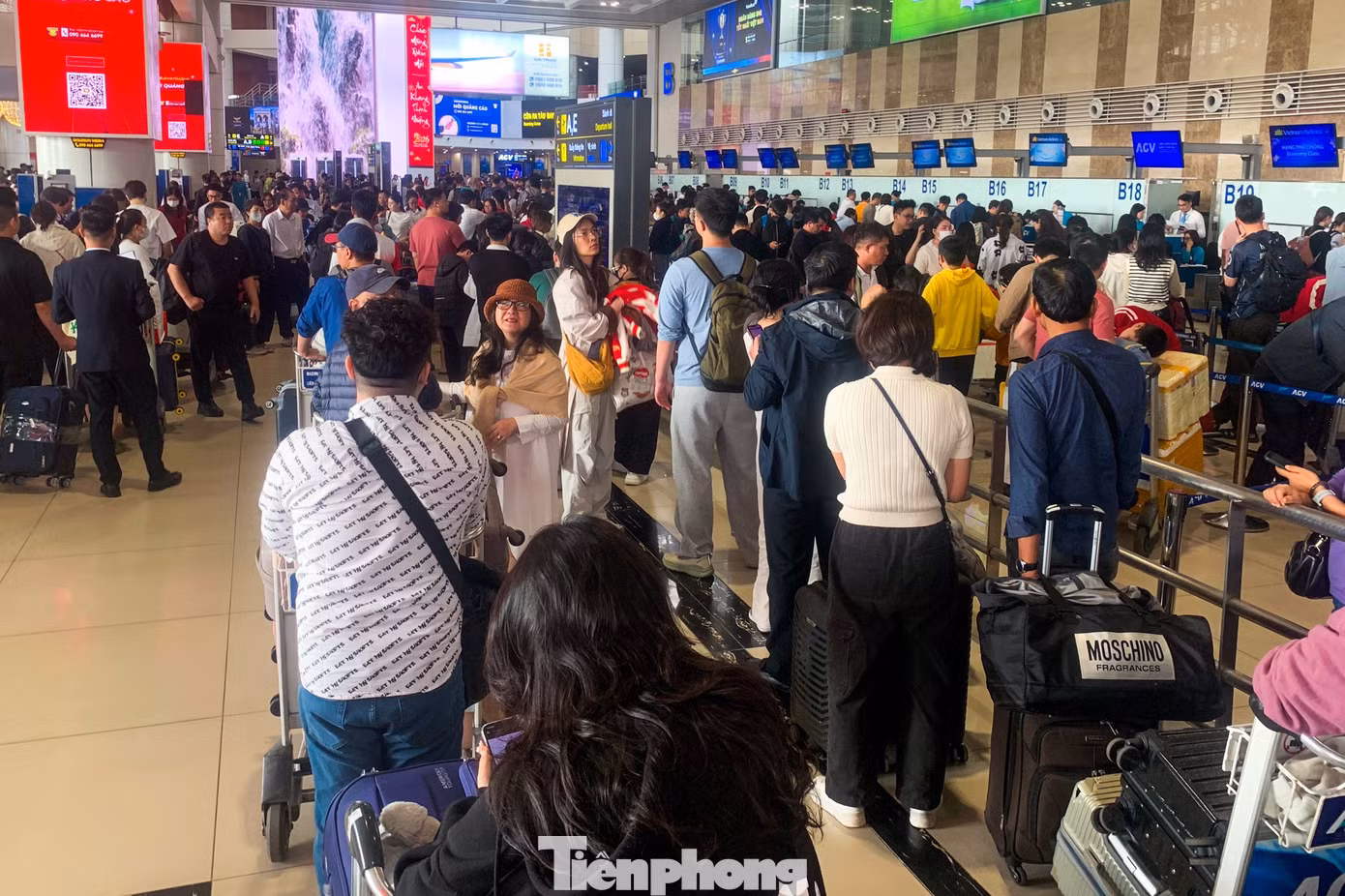 tp-baotienphong-768.jpg