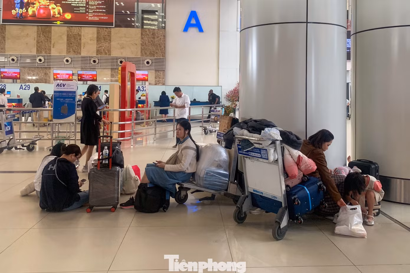 tp-baotienphong-774.jpg