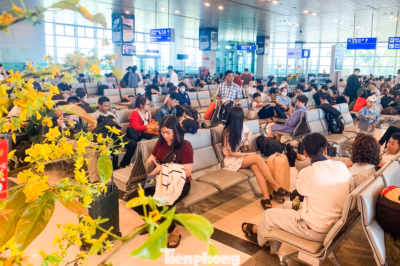 tp-baotienphong-756.jpg