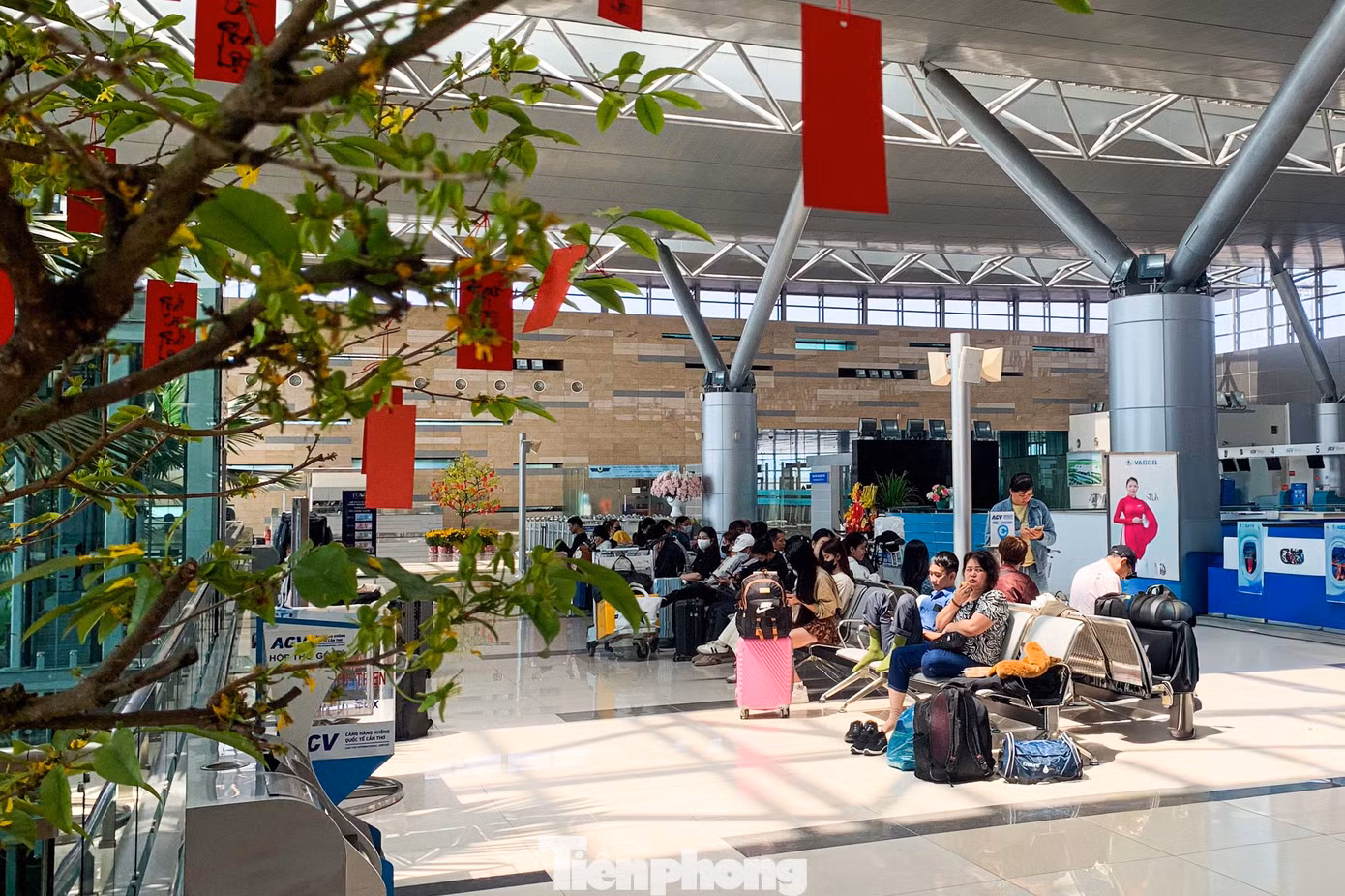 tp-baotienphong-742.jpg