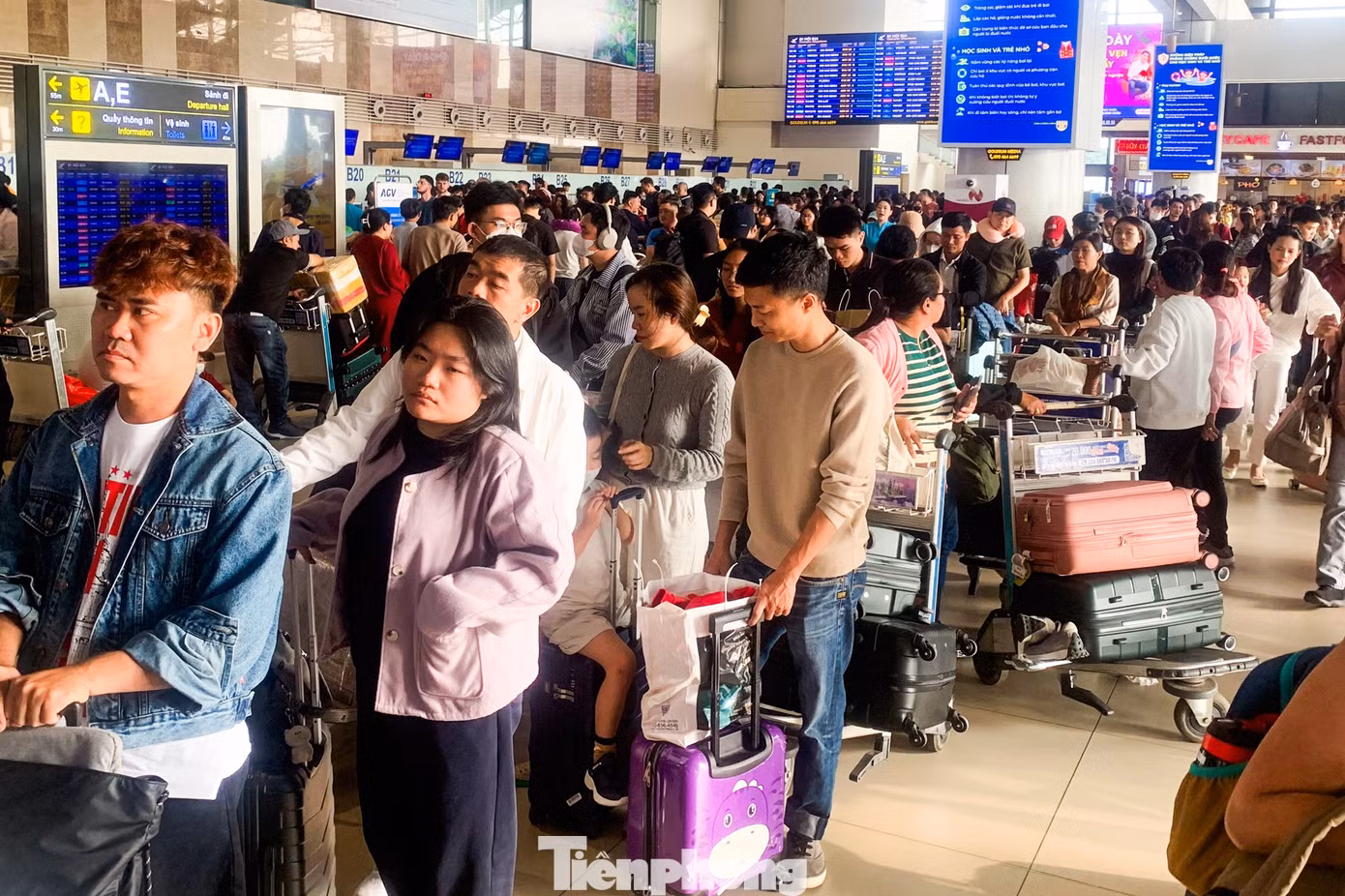 tp-baotienphong-767.jpg