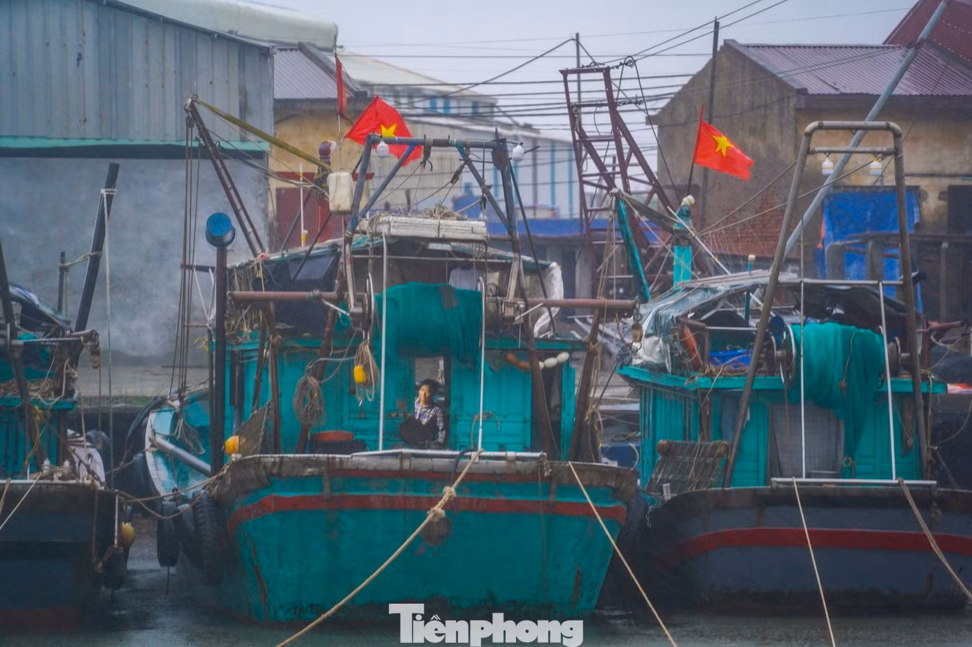 tp-haiphong-5.jpg