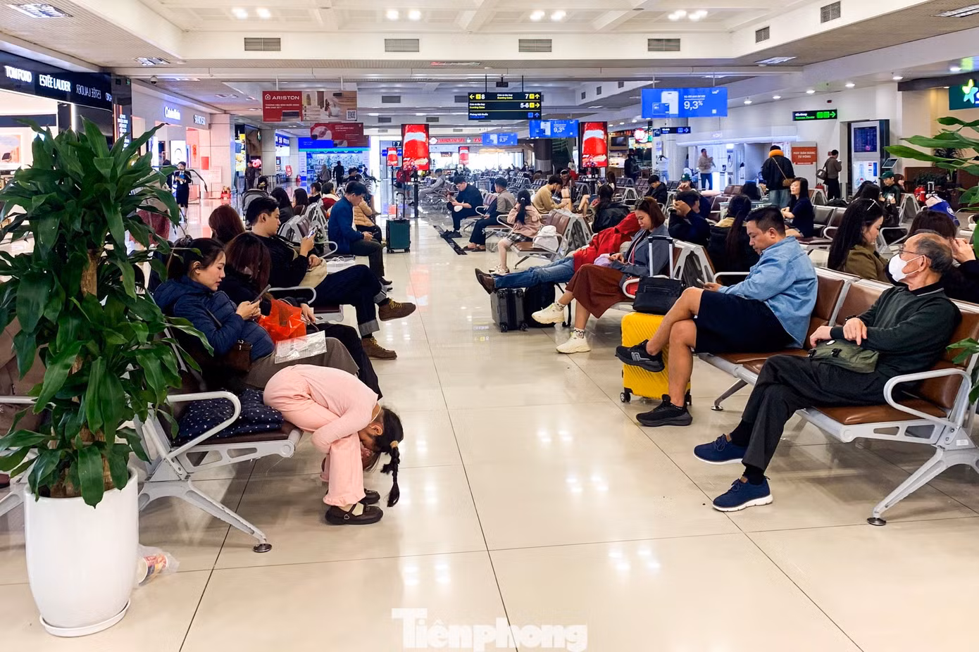 tp-baotienphong-726.jpg