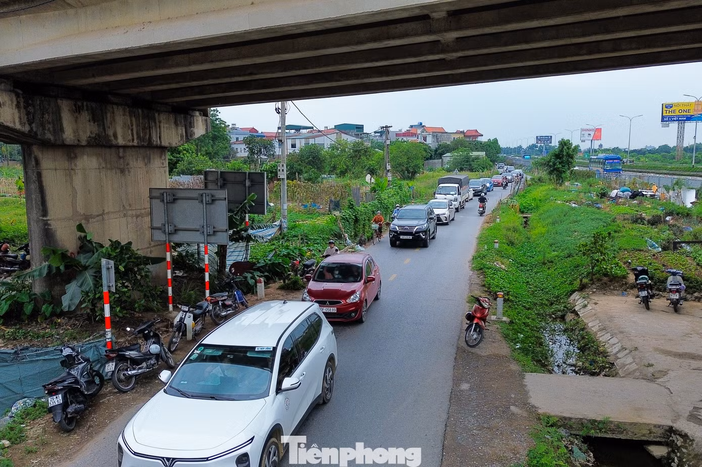 tp-gthongz-23.jpg