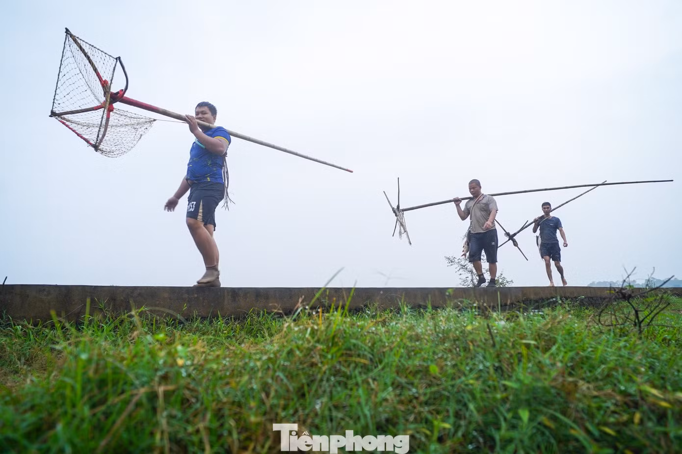 tp-tienphong-384.jpg
