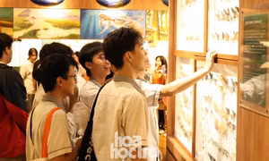Đi Ngày hội tuyển sinh Khoa học và Công nghệ, khám phá miễn phí Bảo tàng Thiên nhiên
