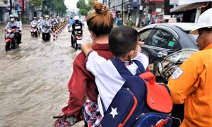 Sở GD&ĐT Hải Phòng yêu cầu các trường tự quyết việc cho học sinh nghỉ do bão Matmo