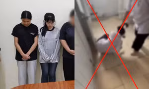 Khởi tố 2 nữ sinh vụ đánh hội đồng ở Phú Thọ: Có thể đối mặt hình thức xử lý nào?