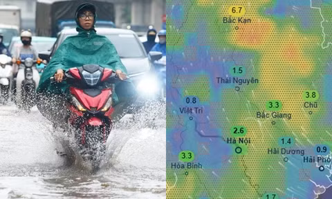 Dự báo Hà Nội mưa kéo dài sang đầu tháng 8, thời tiết mát mẻ