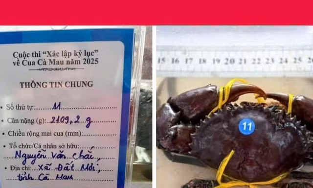 'Vua cua' Cà Mau suýt mất ngôi phút chót