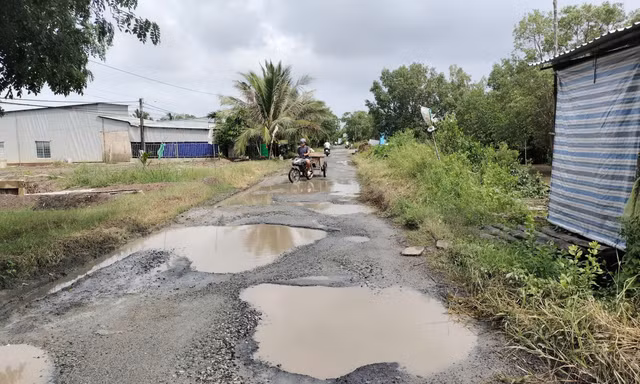 Con đường 'đau khổ' ở Cà Mau lầy lội như ruộng