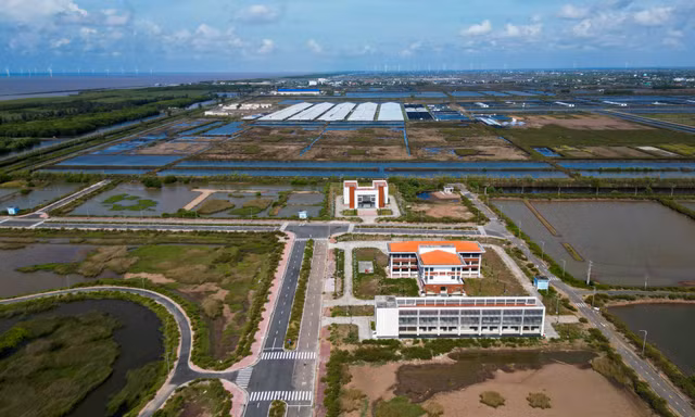 Cà Mau lập Ban Chỉ đạo gỡ các dự án tồn đọng