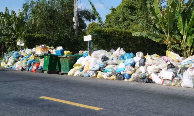 Cà Mau: Thêm công ty muốn dừng gom rác 3 ngày Tết, địa phương không chấp thuận