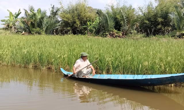 Con tôm sinh thái và hành trình thoát nghèo nơi Đất Mũi