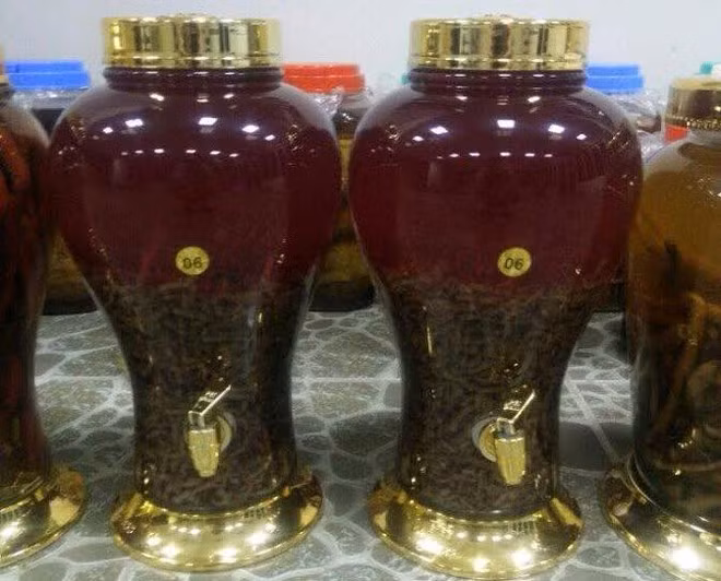 Săn thần dược chiều chồng, quý bà ăn quả đắng - Ảnh 1.