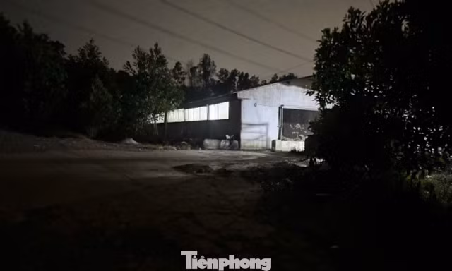 Kết quả test nhanh mẫu nước tiểu đàn heo hơn 2.000 con ở Đồng Nai