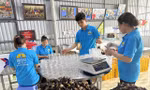 Cán bộ Đoàn với hệ sinh thái khởi nghiệp nâng sinh kế vùng ngập mặn Cà Mau